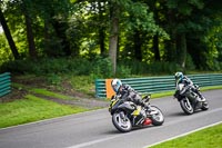 cadwell-no-limits-trackday;cadwell-park;cadwell-park-photographs;cadwell-trackday-photographs;enduro-digital-images;event-digital-images;eventdigitalimages;no-limits-trackdays;peter-wileman-photography;racing-digital-images;trackday-digital-images;trackday-photos